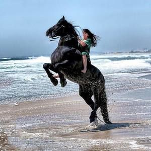 Meet your Posher, Tammy